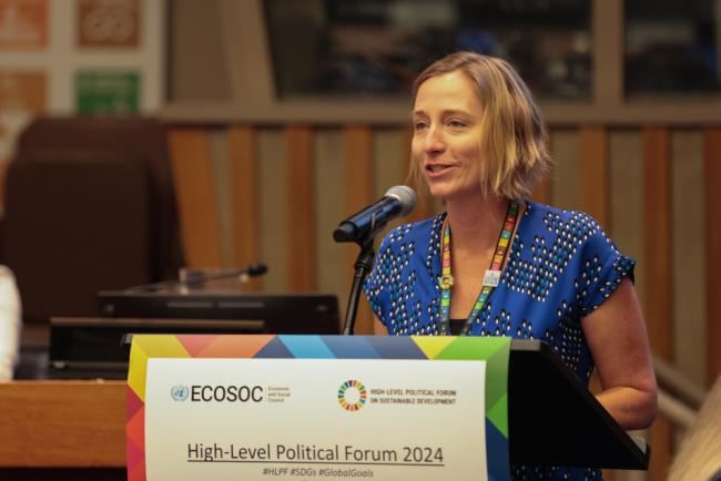 Heather Page, Statistics Division, UN DESA