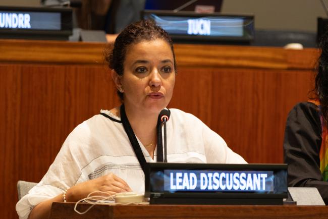 Dima Al-Khatib, Director, UN Office for South-South Cooperation