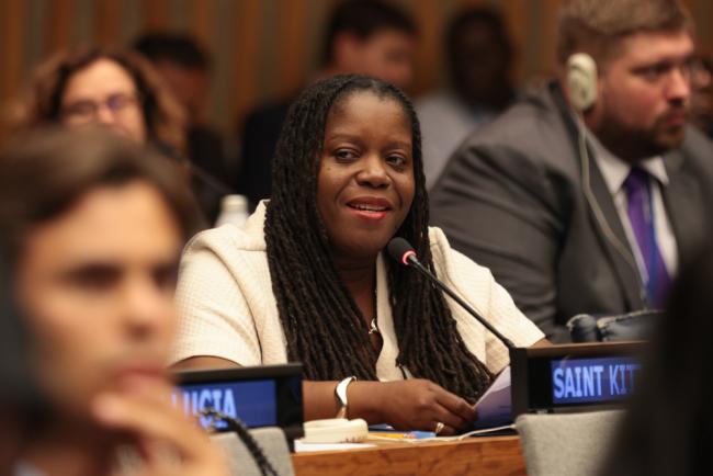 Mutryce Williams, Permanent Representative of Saint Kitts and Nevis to the UN