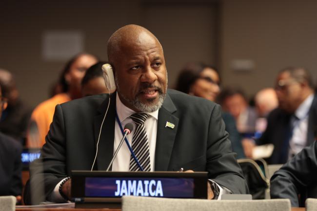 Wayne Henry, Director-General, Planning Institute of Jamaica