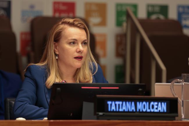 Tatiana Molcean, Executive Secretary, UN ECE 