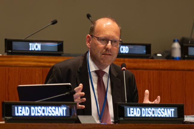 Bernd Vöhringer, Vice-President, Congress of Local and Regional Authorities, Council of Europe