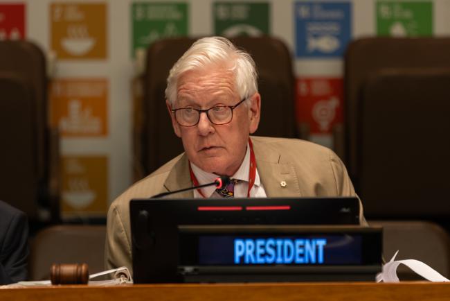 Bob Rae, Vice-President, ECOSOC