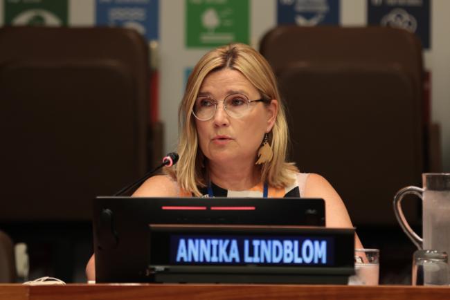 Annika Lindblom, Ministry of the Environment, Finland, and Co-Chair, Board of the 10YFP