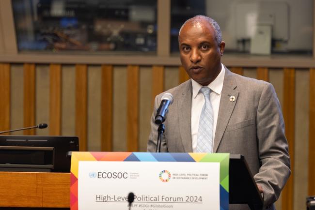 Daniel Eshetie, Statistics Division, UN Department of Economic and Social Affairs (UN DESA)