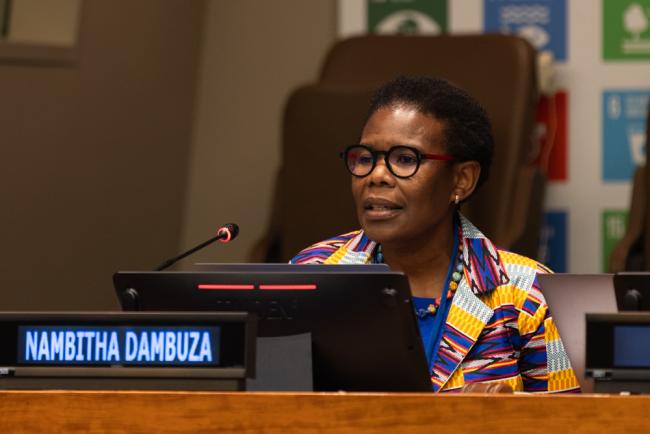 Nambitha Dambuza, Judge of the Supreme Court of Appeal, South Africa, and Chair, Africa Judicial Education Network on Environmental Law