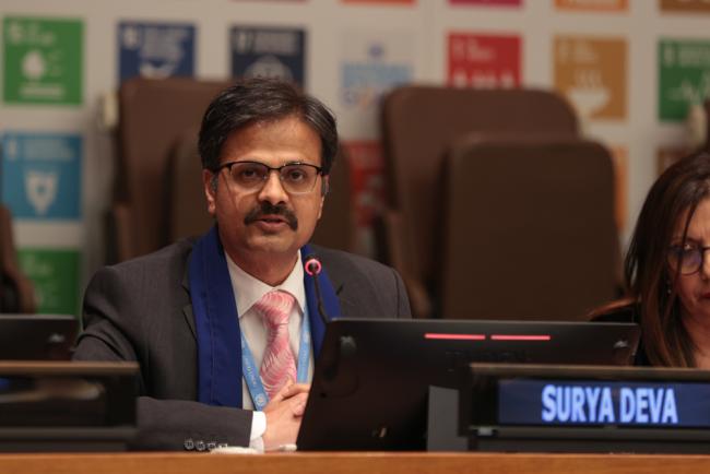 Surya Deva, UN Special Rapporteur on the Right to Development