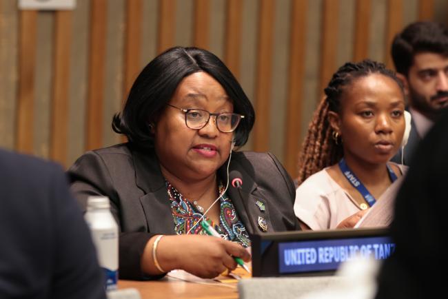 Pindi Chana, Minister of Constitutional and Legal Affairs, Tanzania