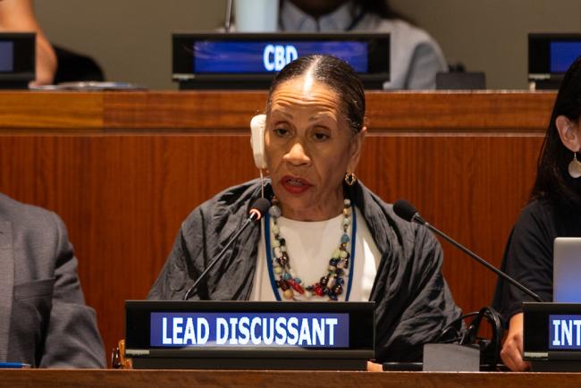 Taina Bien-Aimé, Executive Director, Coalition against Trafficking in Women, US