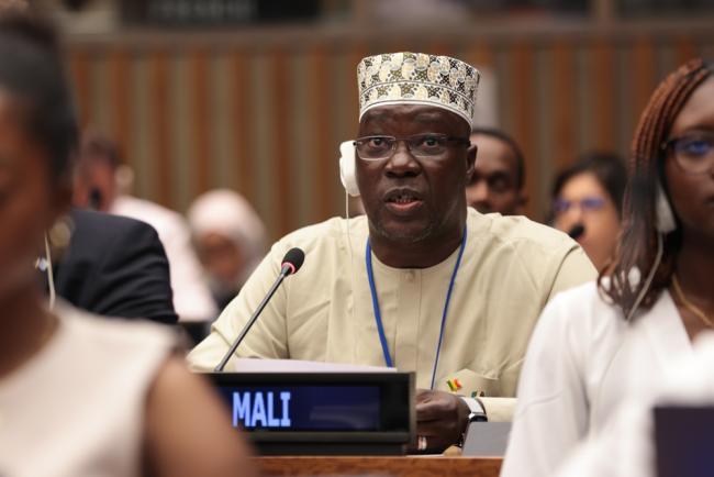 Seydou Coulibaly, Mali