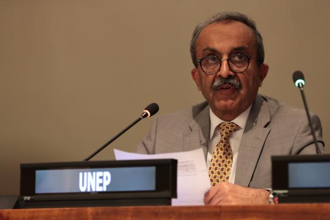 Jamil Ahmad, UNEP