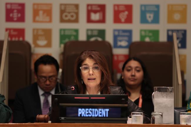 Paula Narváez, President, ECOSOC