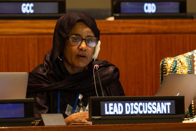 Saoudata Aboubacrine, Head, Tin Hinan Sahel, Burkina Faso