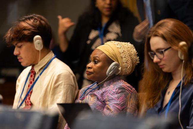 Delegates listen to the VNR presentations
