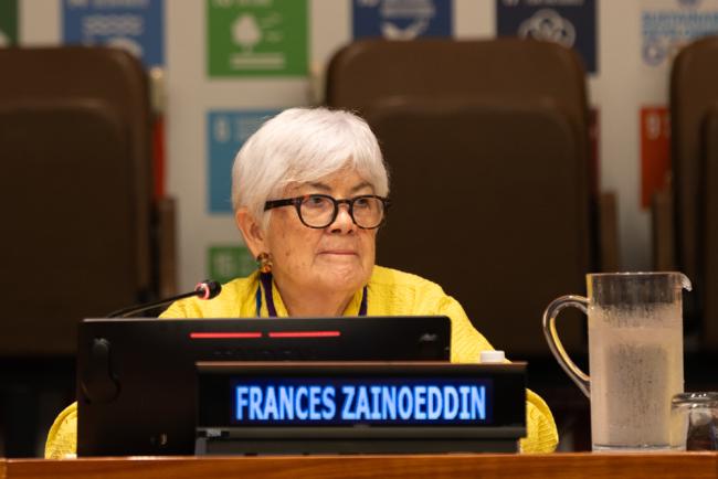 Frances Zainoeddin, UN Focal Point, Stakeholder Group on Ageing