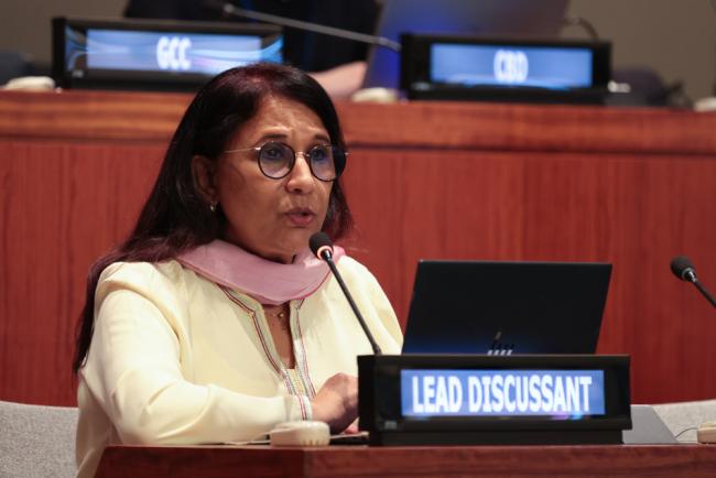 Amina Bouayach, Secretary, Global Alliance of National Human Rights Institutions (GANHRI)