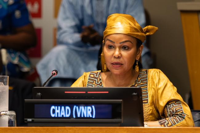 Mme Fatima Haram Acyl, Delegated Minister in charge of the Economy and Planning, Chad