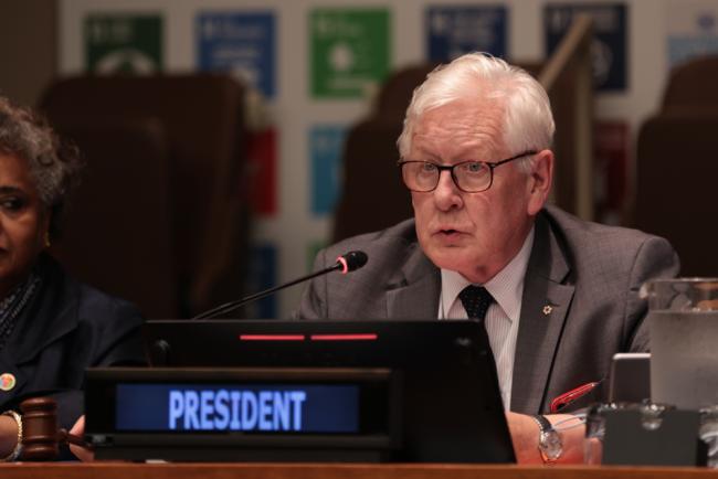 Bob Rae, Vice-President, ECOSOC