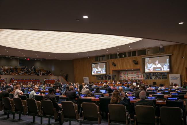 Delegates gather to hear the perspectives from Major Groups and Other Stakeholders