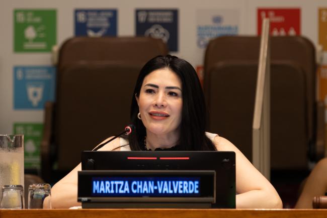 Maritza Chan-Valverde, Permanent Representative of Costa Rica to the UN