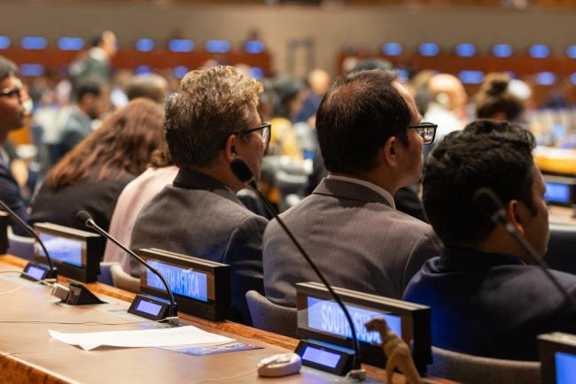 Delegates in plenary