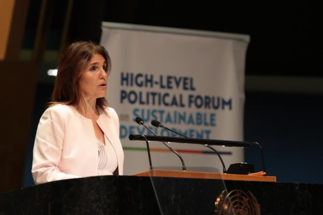 Paula Narváez, President, ECOSOC
