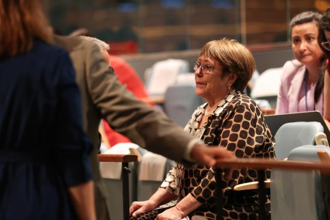Michelle Bachelet, former President of Chile, and former UN High Commissioner for Human Rights
