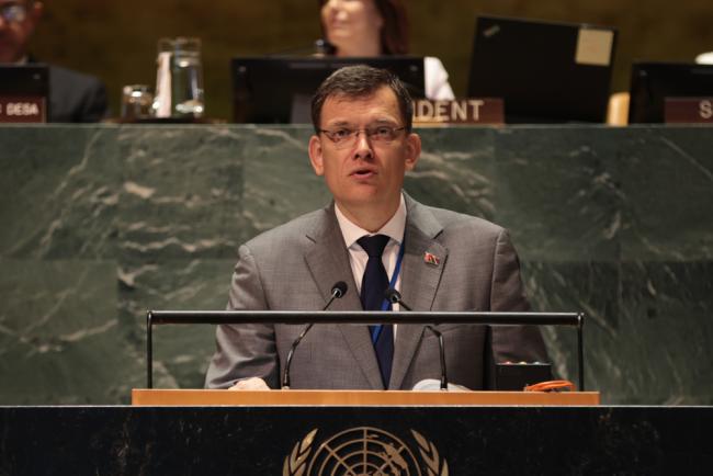 Yuri Ambrazevich, First Deputy Minister of Foreign Affairs, Belarus, on behalf of Friends of the Family