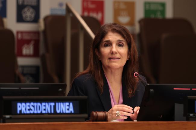 Paula Narváez, President, ECOSOC