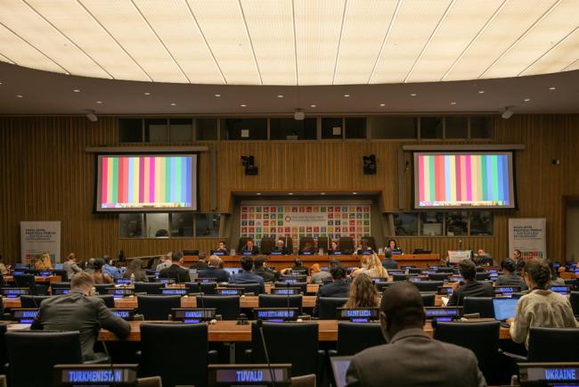 Delegates gather to hear an update about how the SDGs are being achieved across the regions