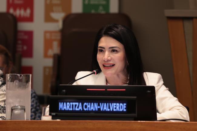 Maritza Chan-Valverde, Permanent Representative of Costa Rica to the UN, and Forum of the Countries of Latin America and the Caribbean on Sustainable Development