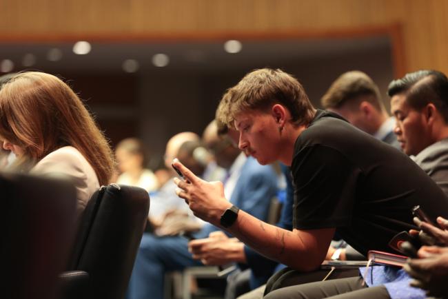 Delegate in plenary