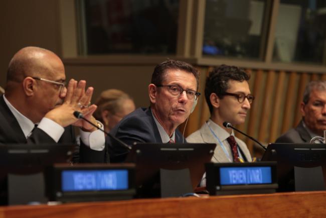 Ivan Simonović, Vice-President, ECOSOC