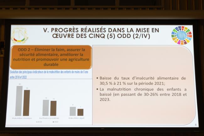 Guinea's VNR report highlights their progress in achieving SDG 2 (zero hunger)