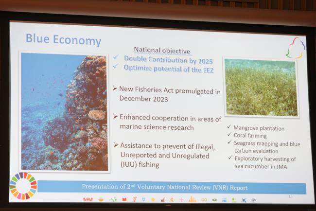 Mauritius' VNR report highlights their focus on the blue economy