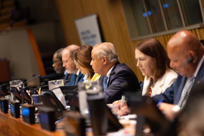Tarek Ladeb, Vice-President, ECOSOC, chairs the session on VNRs