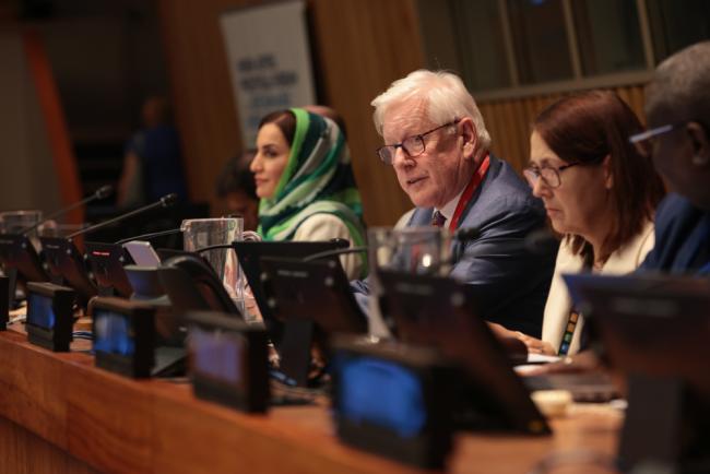 Bob Rae, Vice-President, ECOSOC