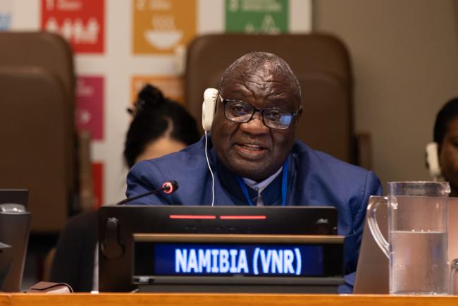 Sylvester Mbangu, Chief National Development Advisor, National Planning Commission, Namibia