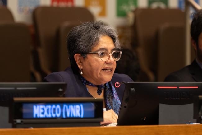 Raquel Buenrostro Sanchez, Secretary of Economy, Mexico