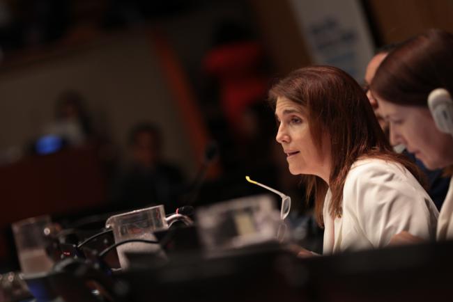 Paula Narváez, President, ECOSOC