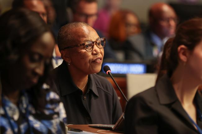 Mathu Joyini, Permanent Representative of South Africa to the UN