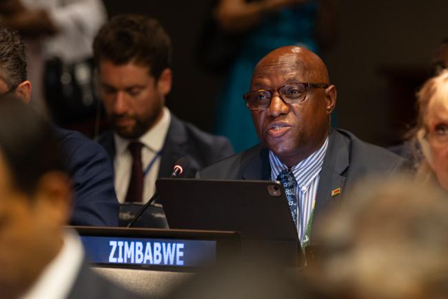 Taonga Mushayavanhu, Permanent Representative of Zimbabwe to the UN