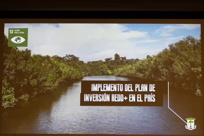 Equatorial Guinea's VNR report highlights the importance of working towards SDG 13 (climate action)