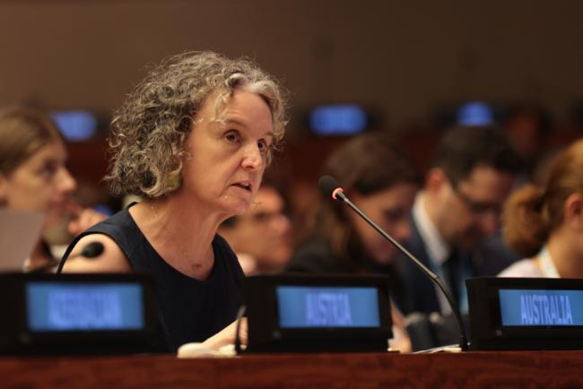 Rebecca Bryant, Permanent Representative of Australia to the UN