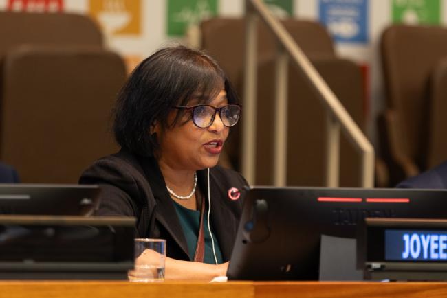 Joyeeta Gupta, University of Amsterdam, and IHE Delft Institute for Water Education
