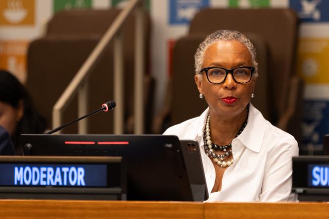 Moderator Inga Rhonda King, Co-Chair, 2024 STI Forum