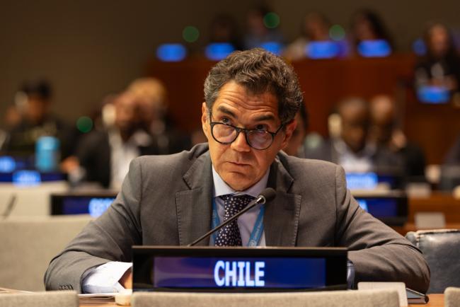 Claudio Garrido, Chile