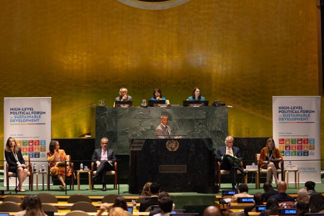 A townhall is held to advance discussions on the effective delivery of sustainable, resilient, and innovative solutions needed to facilitate and expedite the implementation of the SDGs
