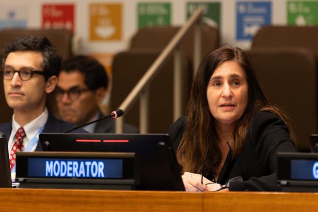 Moderator Shari Spiegel, UN DESA