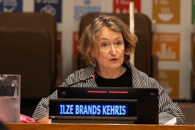 Ilze Brands Kehris, Assistant Secretary-General for Human Rights, and Head, UN Human Rights Office in New York